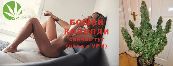 альфа пвп Няндома