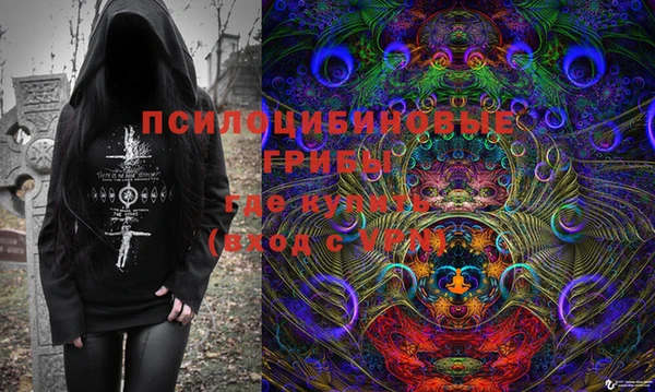 твердый Нягань