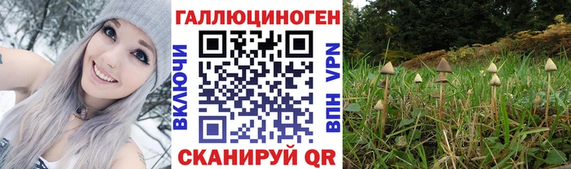 как найти закладки  Сортавала  Галлюциногенные грибы ЛСД 